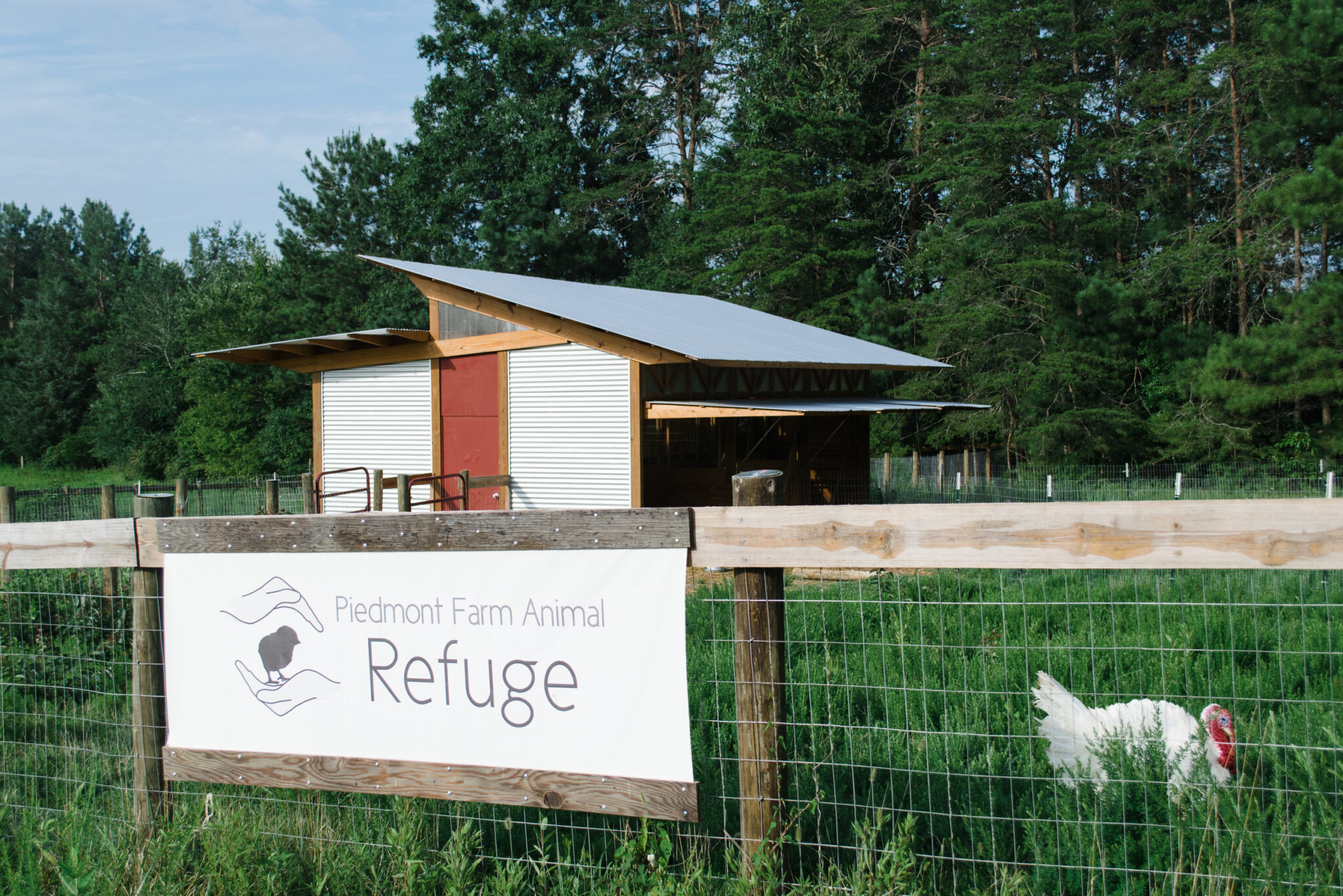 Tour Piedmont Farm Animal Refuge - Unitarian Universalist Fellowship of ...