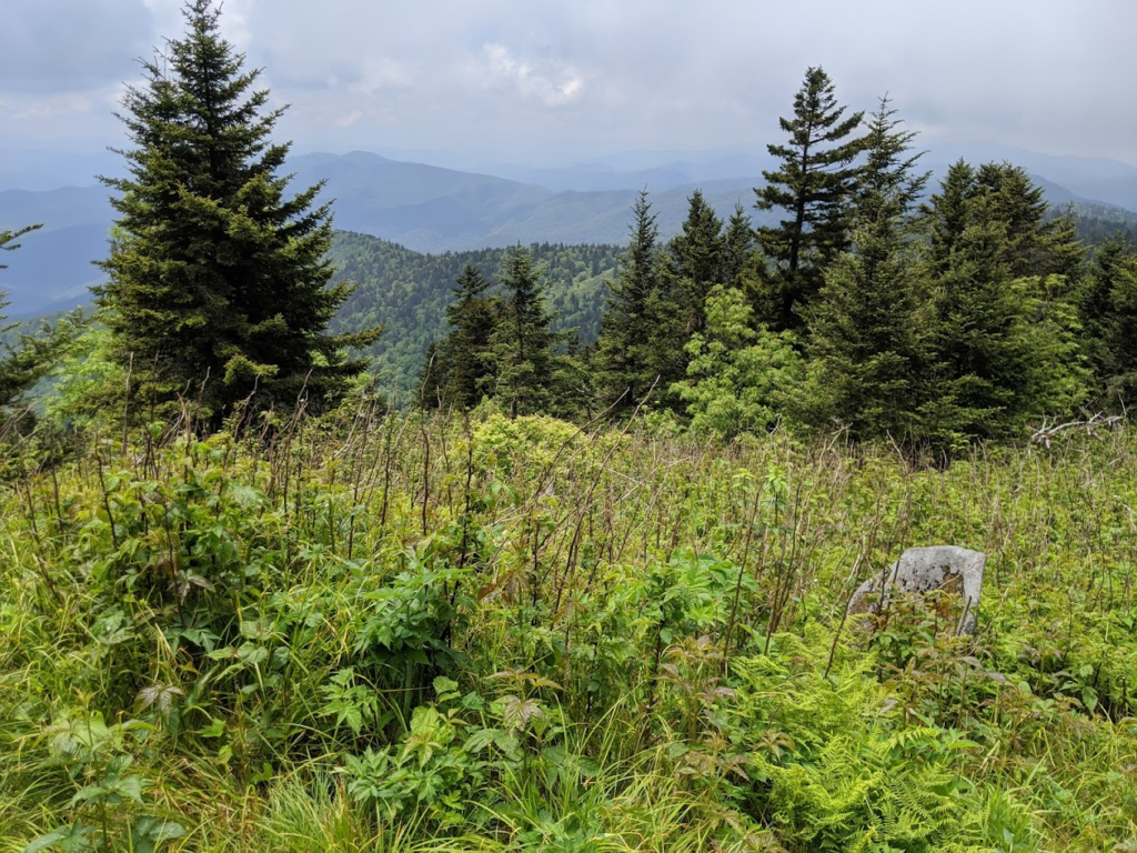 A landscape photograph with a green pasture-like area in the foreground and mountains in the far distance.