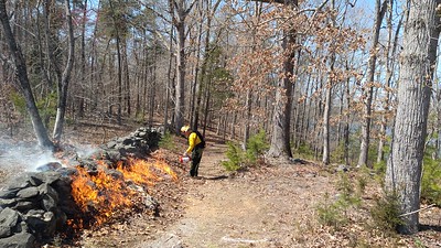 A modern controlled burn within a forest area that is being closely monitored by a professional.