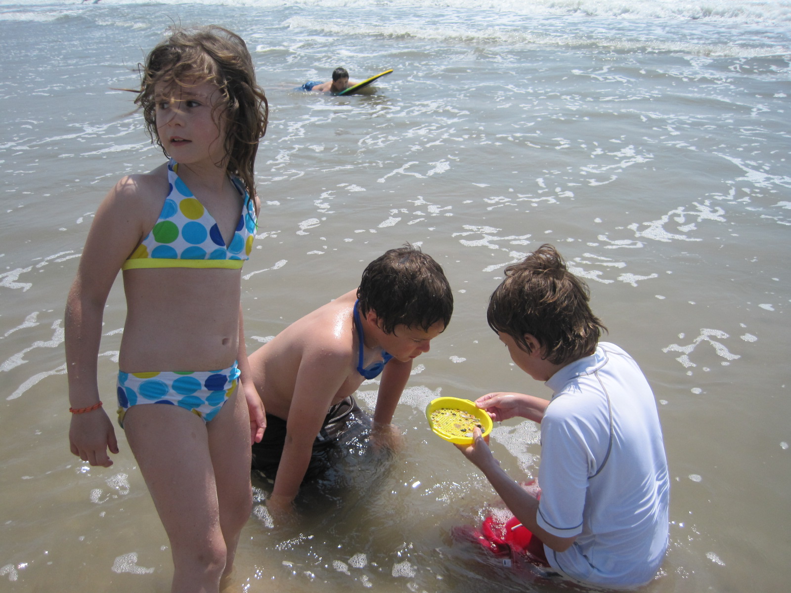 Topsail Island, 2010