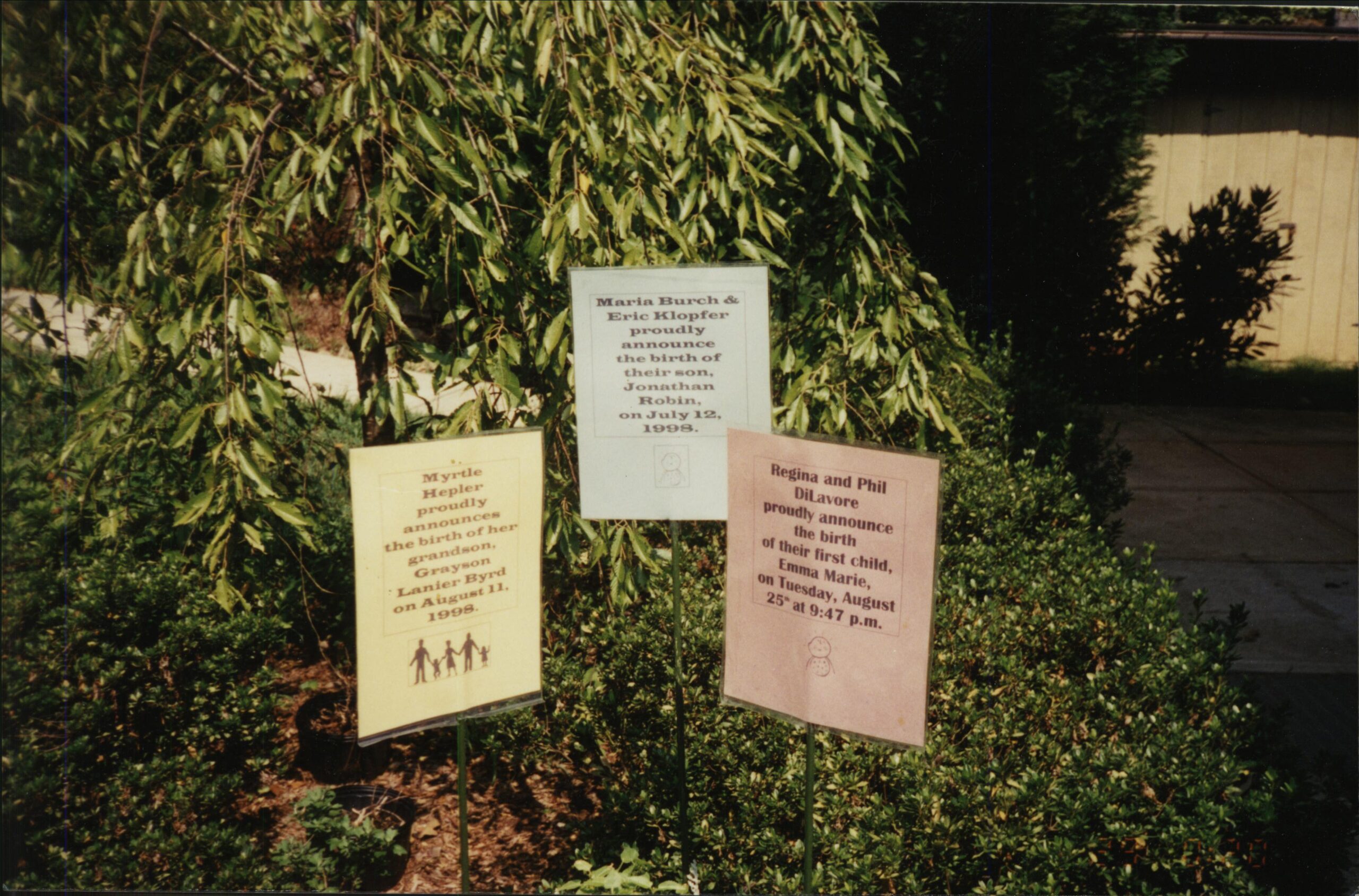 Birth Announcements, 1998